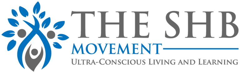 The SHB Movement logo