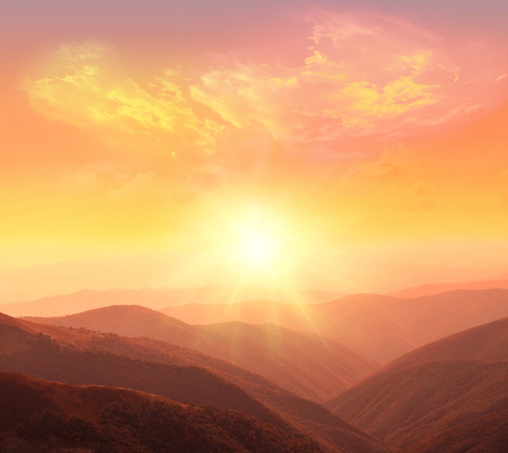 WhatsApp Image 2025 10 12 at 6.29.39 AM