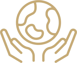 2 removebg preview.png